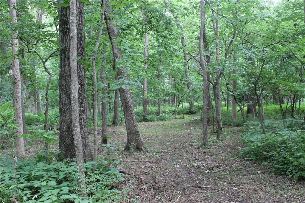 1684 Northwest 785th Road Bates City, MO 64011 - Photo 6 of 15