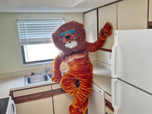 $395,900 | 221 Mayan Terrace, St. Augustine, FL 32080