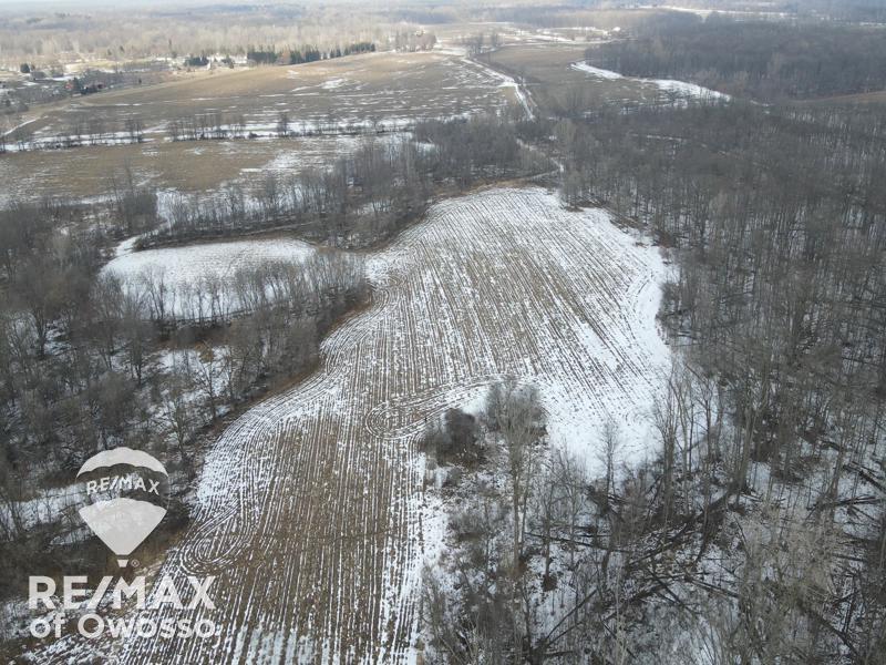 Lovejoy Road Perry, MI 48872 - Photo 4 of 7