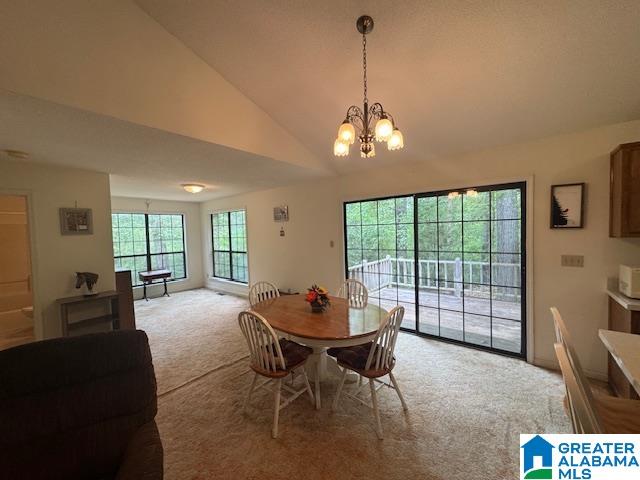 4379 Wellington Road Jacksonville, AL 36265 - Photo 32 of 98 Gallery Image 32