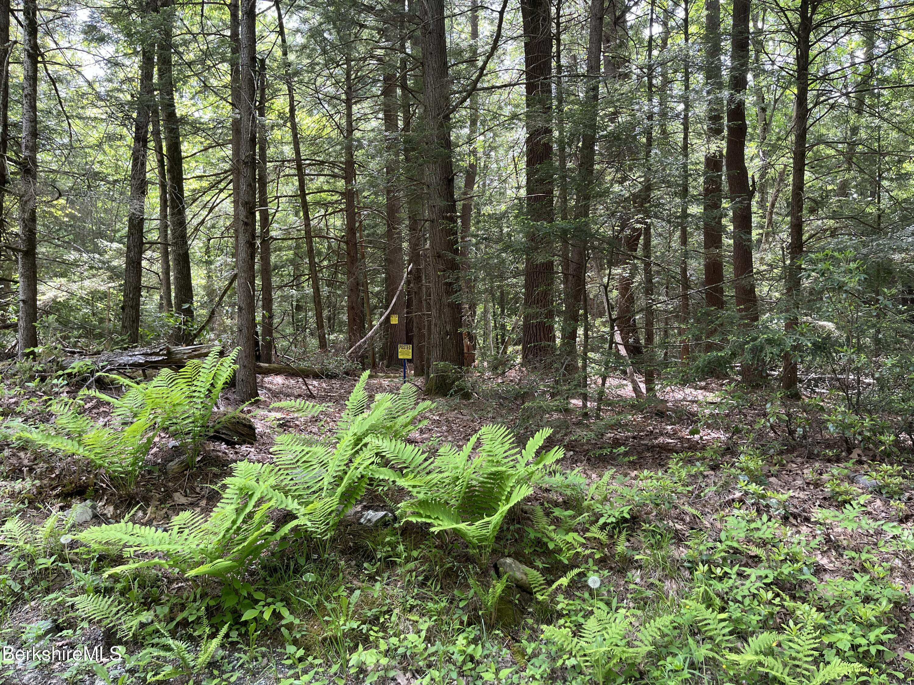 Lot 84 Churchill Road East Otis, MA 01029 - Photo 9 of 18 L 84 H