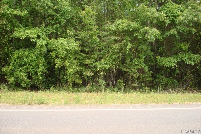153 Rd Samson Al Elba, AL 36323 - Photo 3 of 4 Gallery Image 3