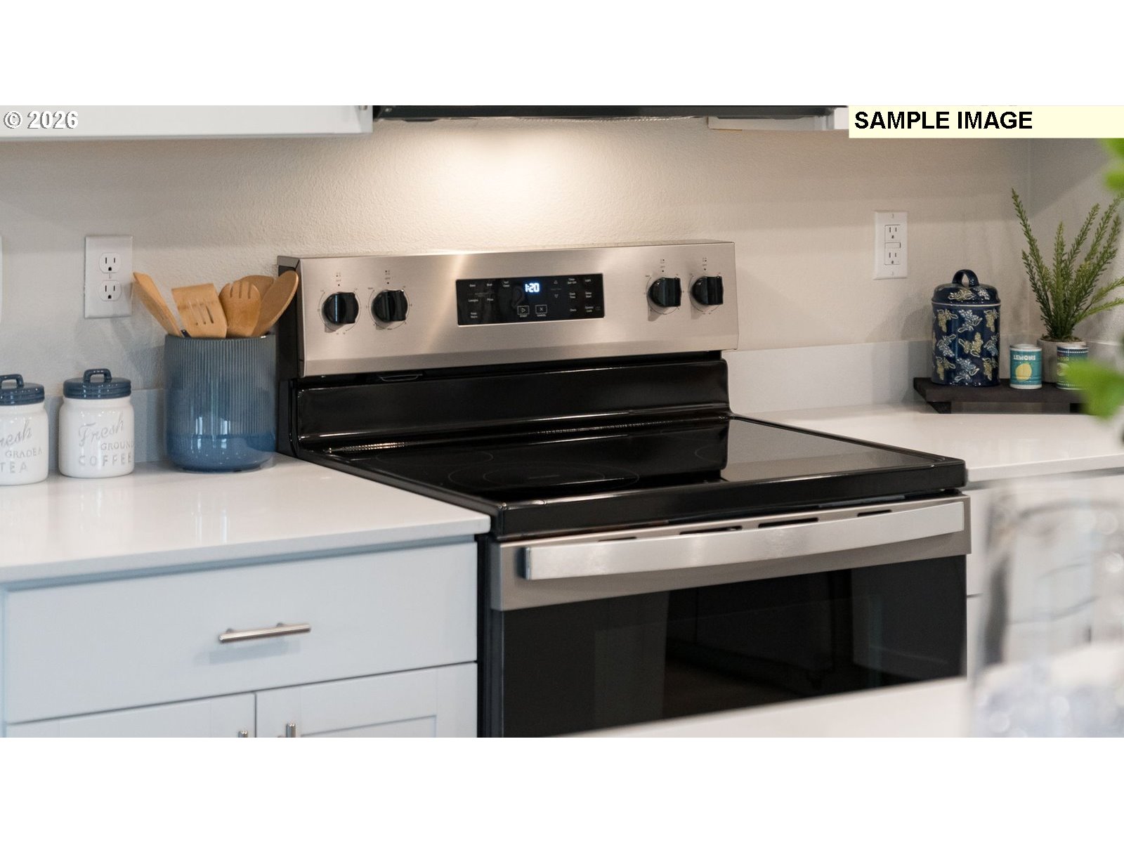 327 Coho Loop Woodland, WA 98674 - Photo 5 of 23 a kitchen with a stove and a potted plant