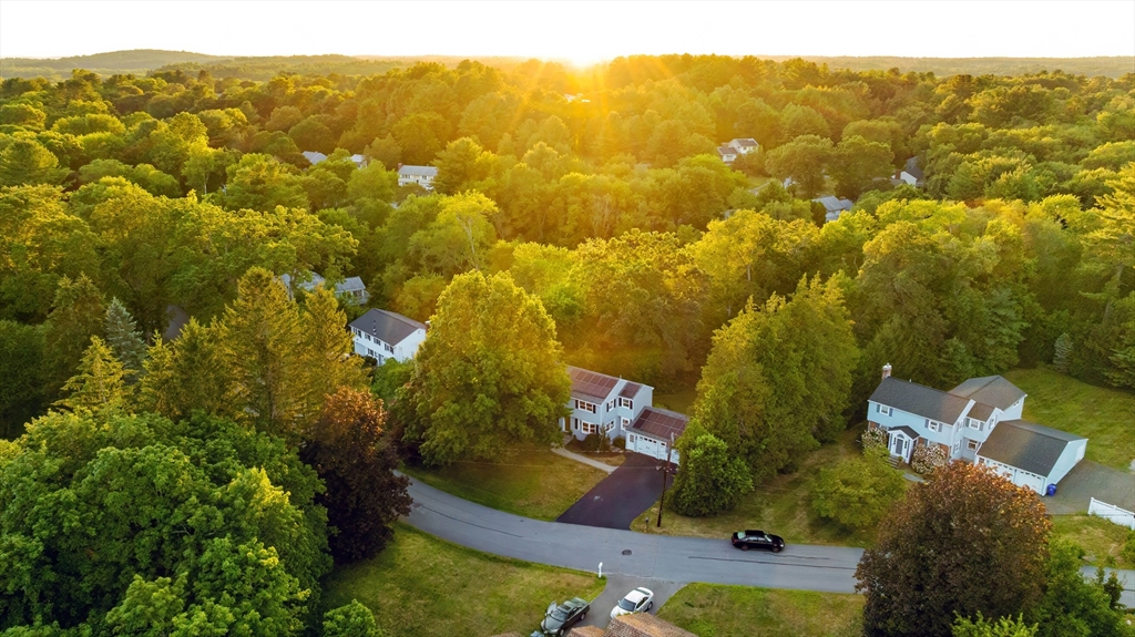 13 Norma Road Bedford, MA 01730 - Photo 42 of 42