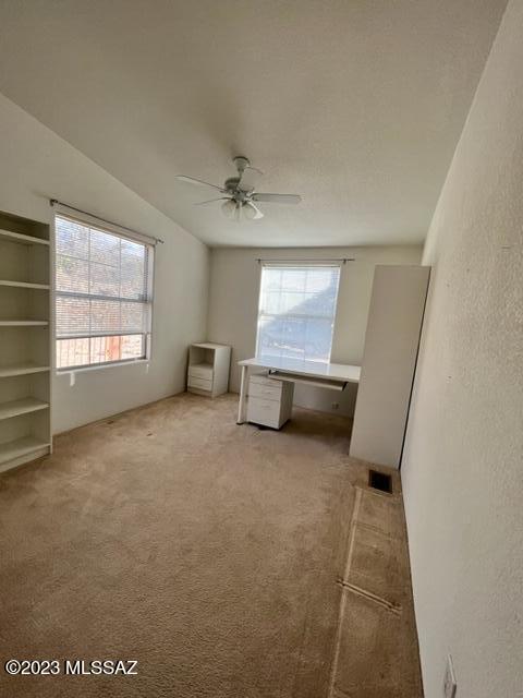 4591 East Golder Ranch Drive Tucson, AZ 85739 - Photo 17 of 20 Gallery Image 17