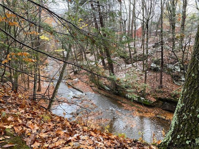 709 Stone Bridge Road East Durham, NY 12423 - Photo 6 of 24 Photo 6