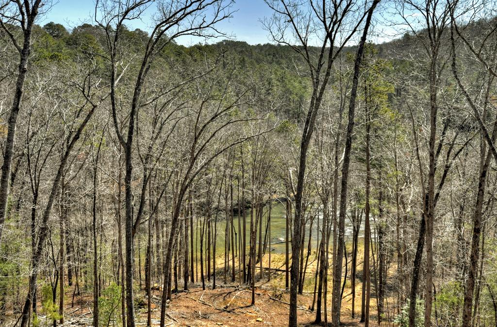 1960 High River Road Ellijay, GA 30540 - Photo 63 of 84 Gallery Image 63