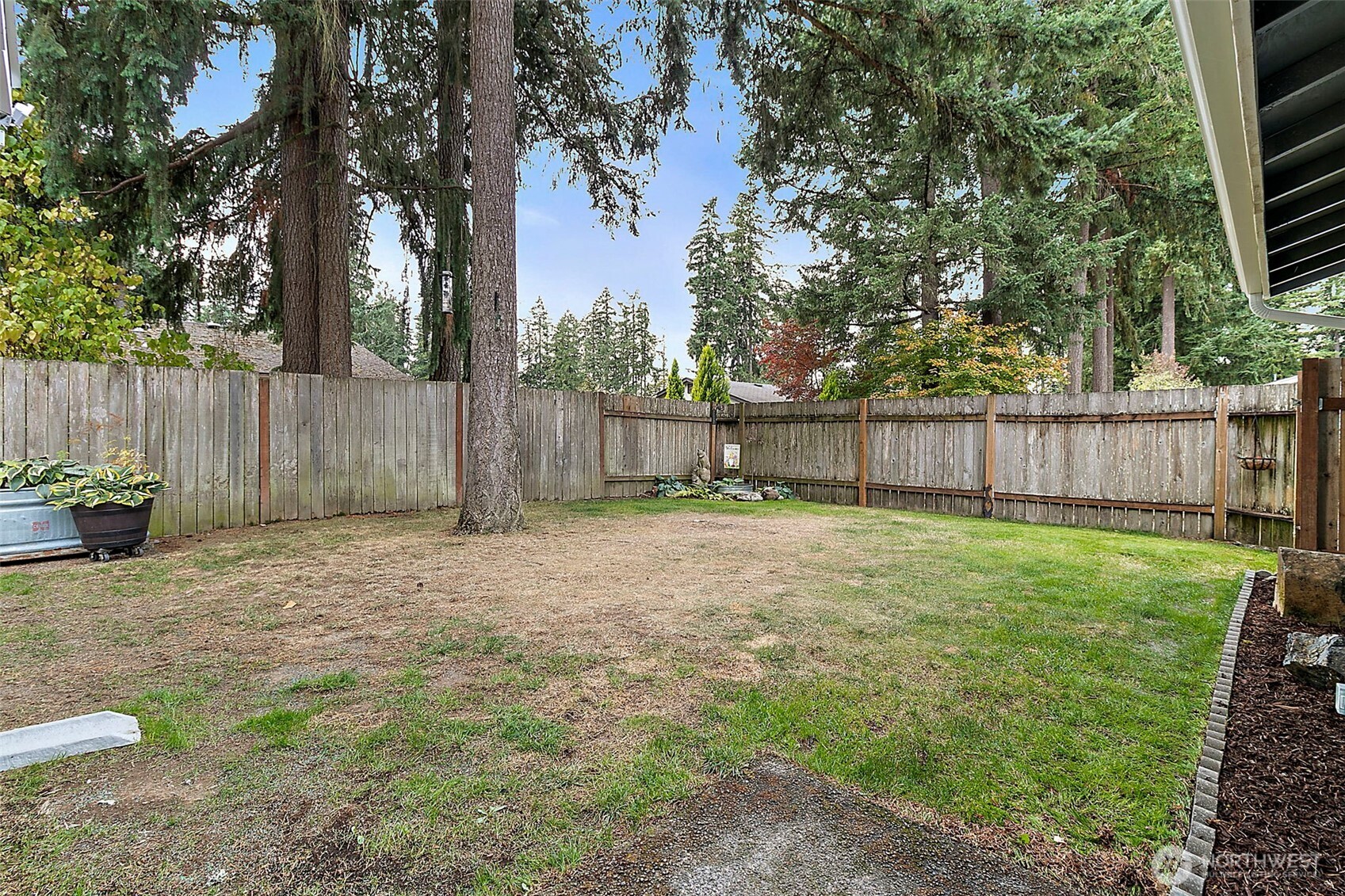 26104 195th Place Southeast Covington, WA 98042 - Photo 27 of 29 a backyard of a house with lots of green space
