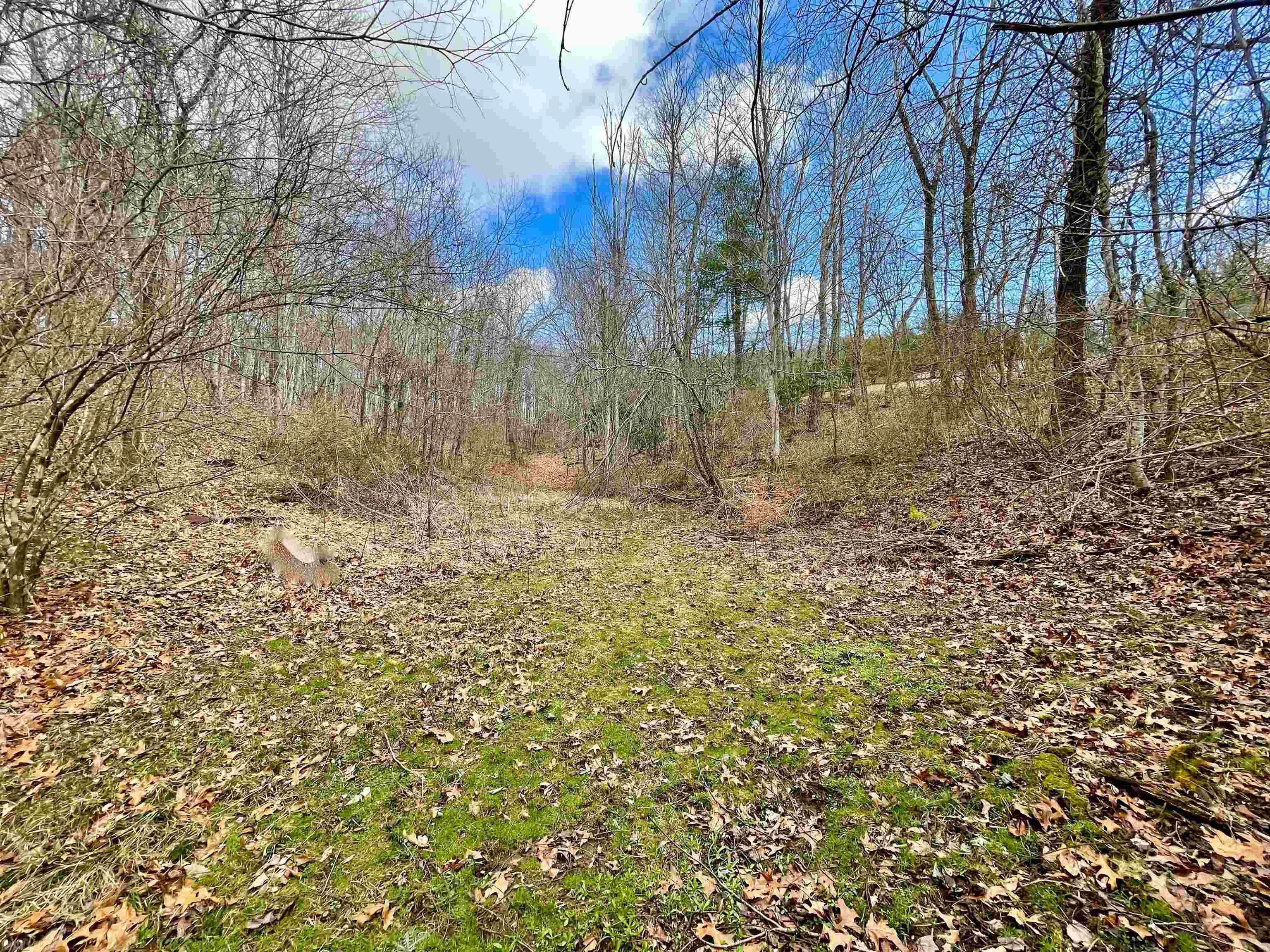582 Bethlehem Church Road Northeast Floyd, VA 24091 - Photo 19 of 23 Gallery Image 19