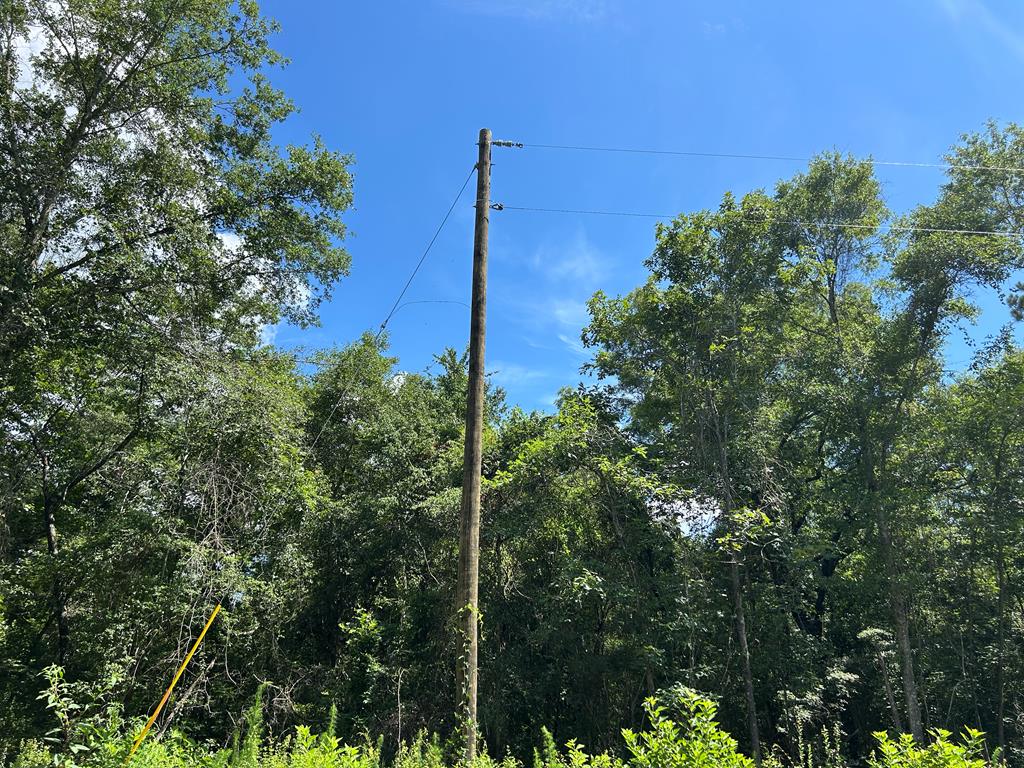 Lot 5-3 -ac Cty Road Newville, AL 36353 - Photo 11 of 13