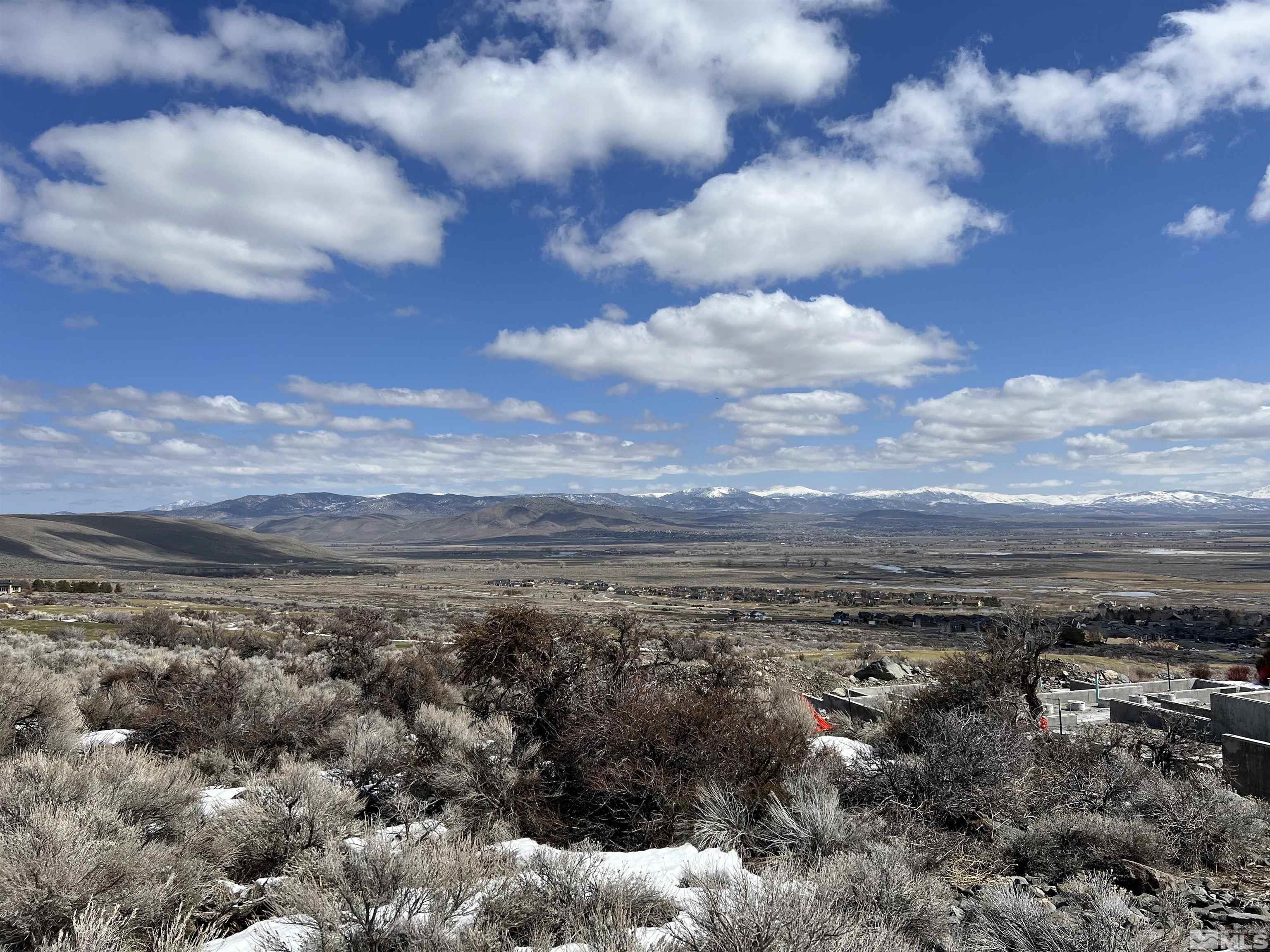 275 James Canyon Loop Genoa, NV 89411 - Photo 4 of 5 a view of a big yard with lots of bushes