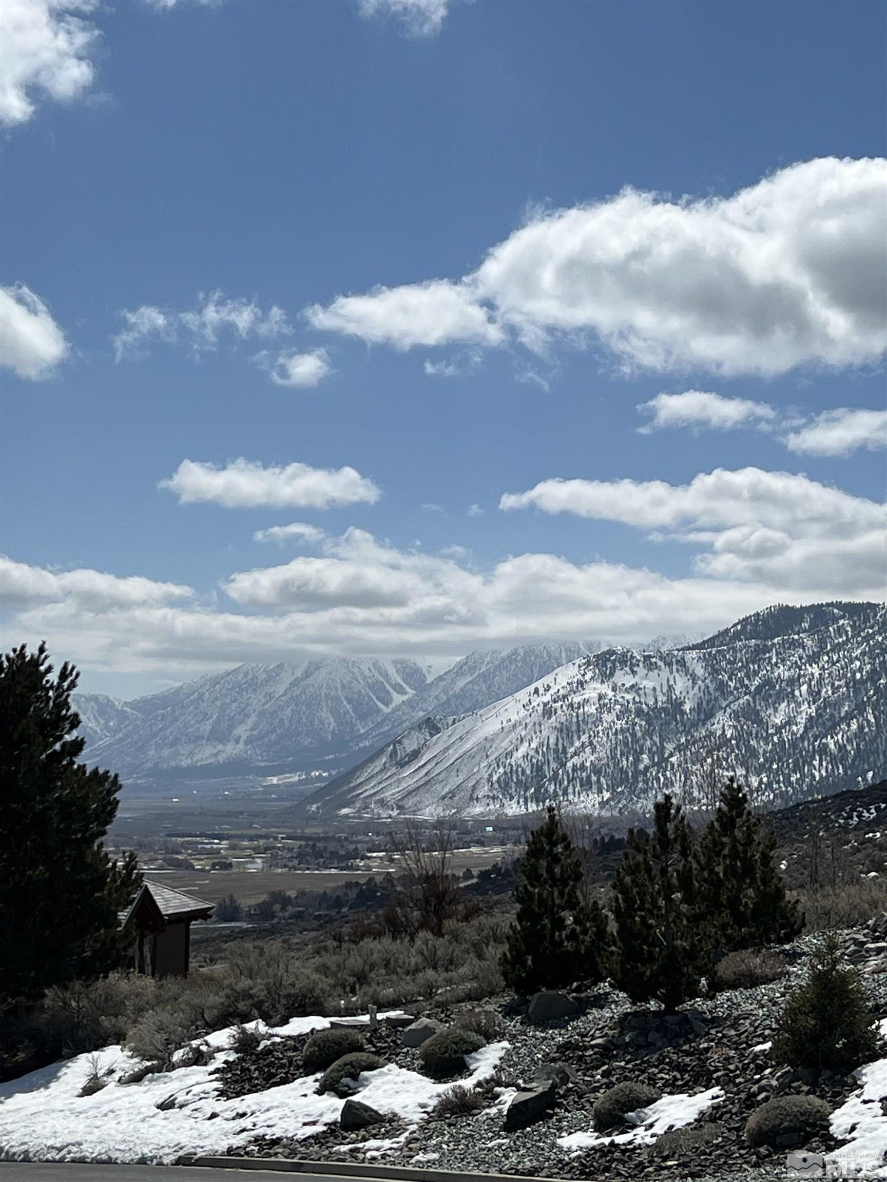 275 James Canyon Loop Genoa, NV 89411 - Photo 5 of 5