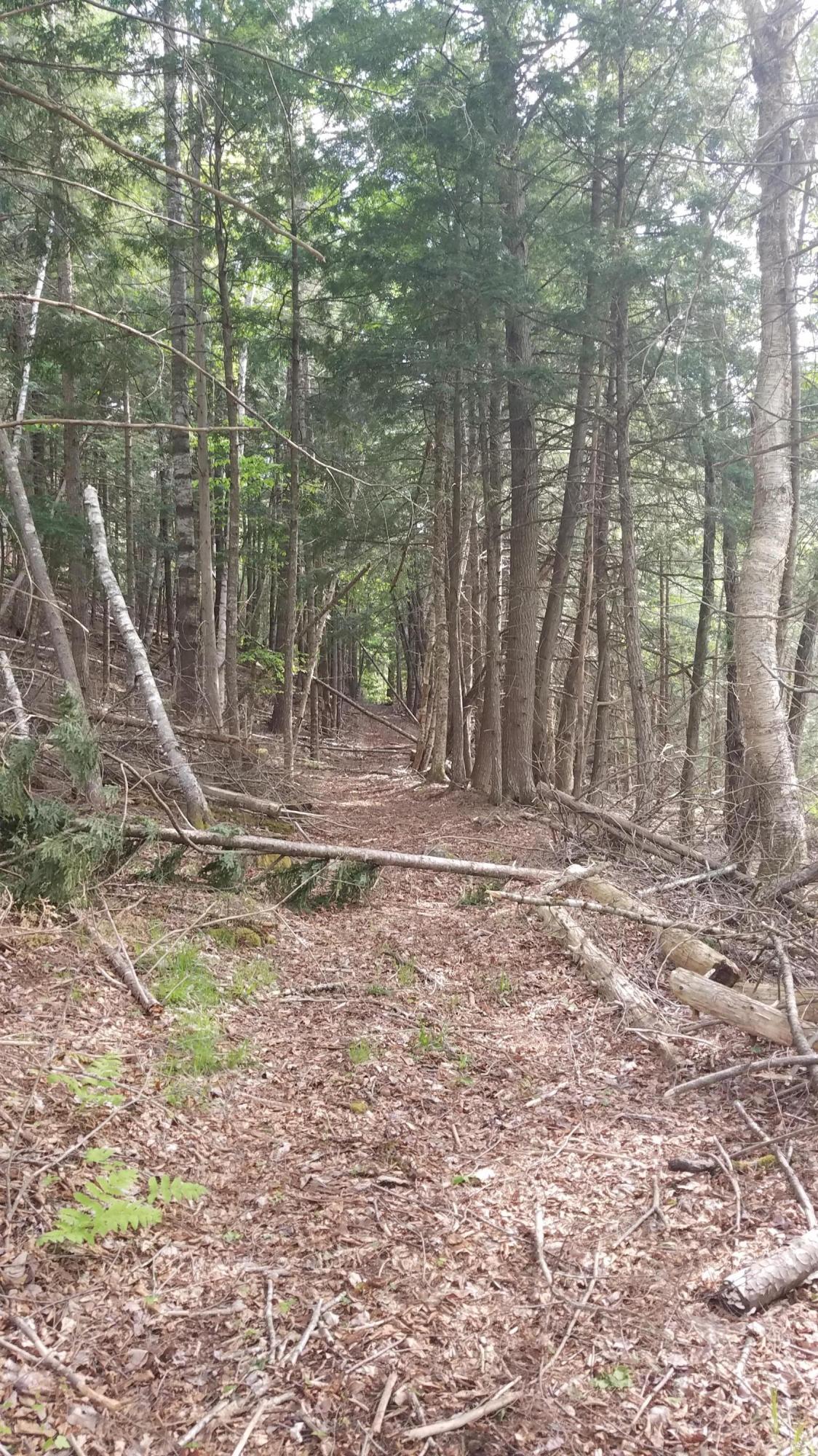 173 Mill Road Dedham, ME 04429 - Photo 51 of 65 20200604_162853