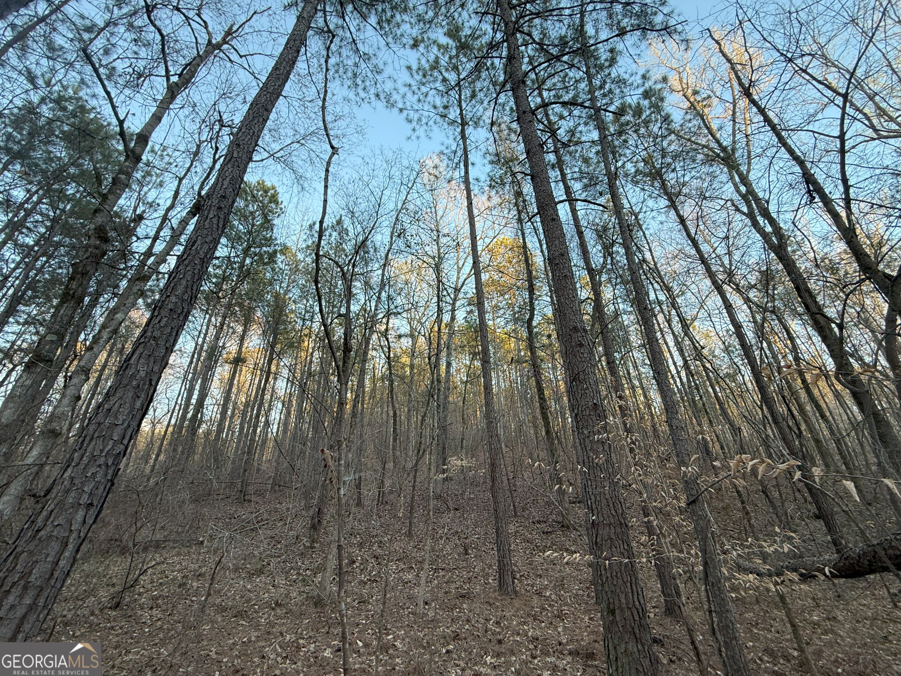 10 Cedar Creek Road Elberton, GA 30635 - Photo 1 of 1 Gallery Image 1