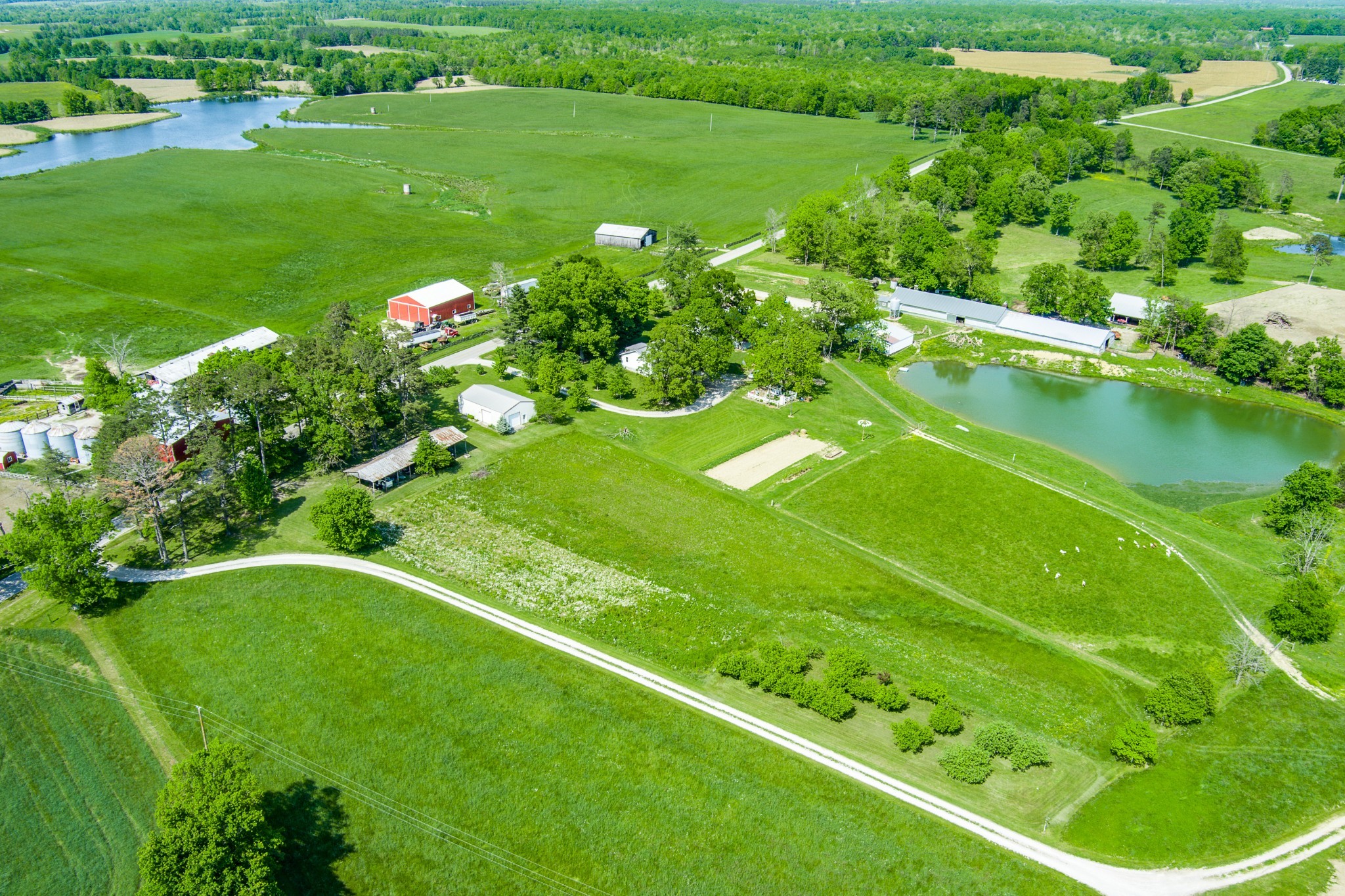 1689 Meister Hills Road Deer Lodge, TN 37726 - Photo 1 of 19 a lush green field with lots of green space