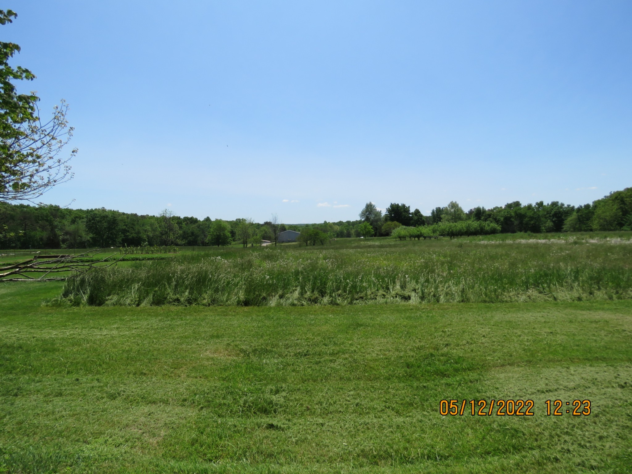 1689 Meister Hills Road Deer Lodge, TN 37726 - Photo 15 of 19 a view of a lake with a big yard