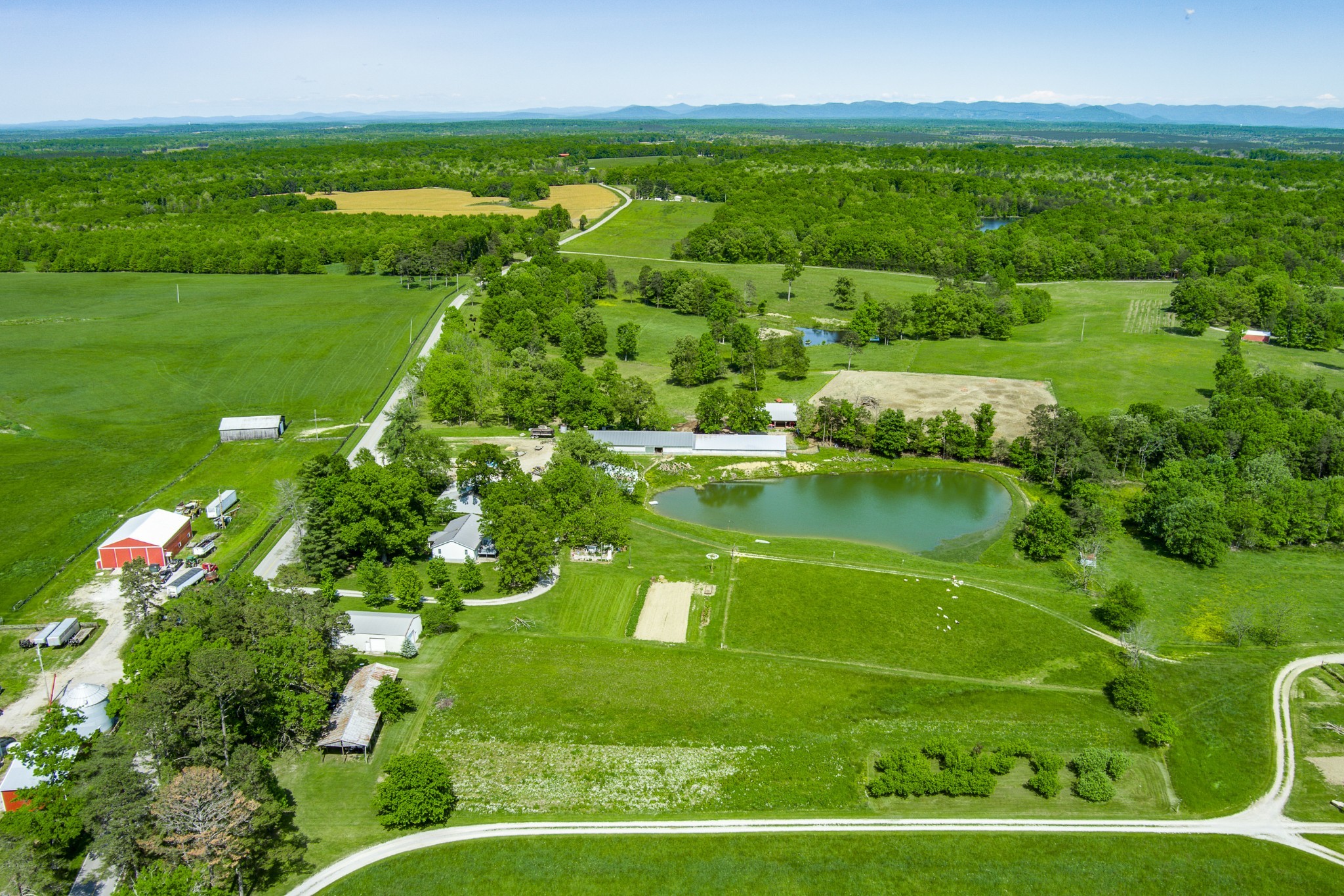 1689 Meister Hills Road Deer Lodge, TN 37726 - Photo 3 of 19 a view of a garden with a lake