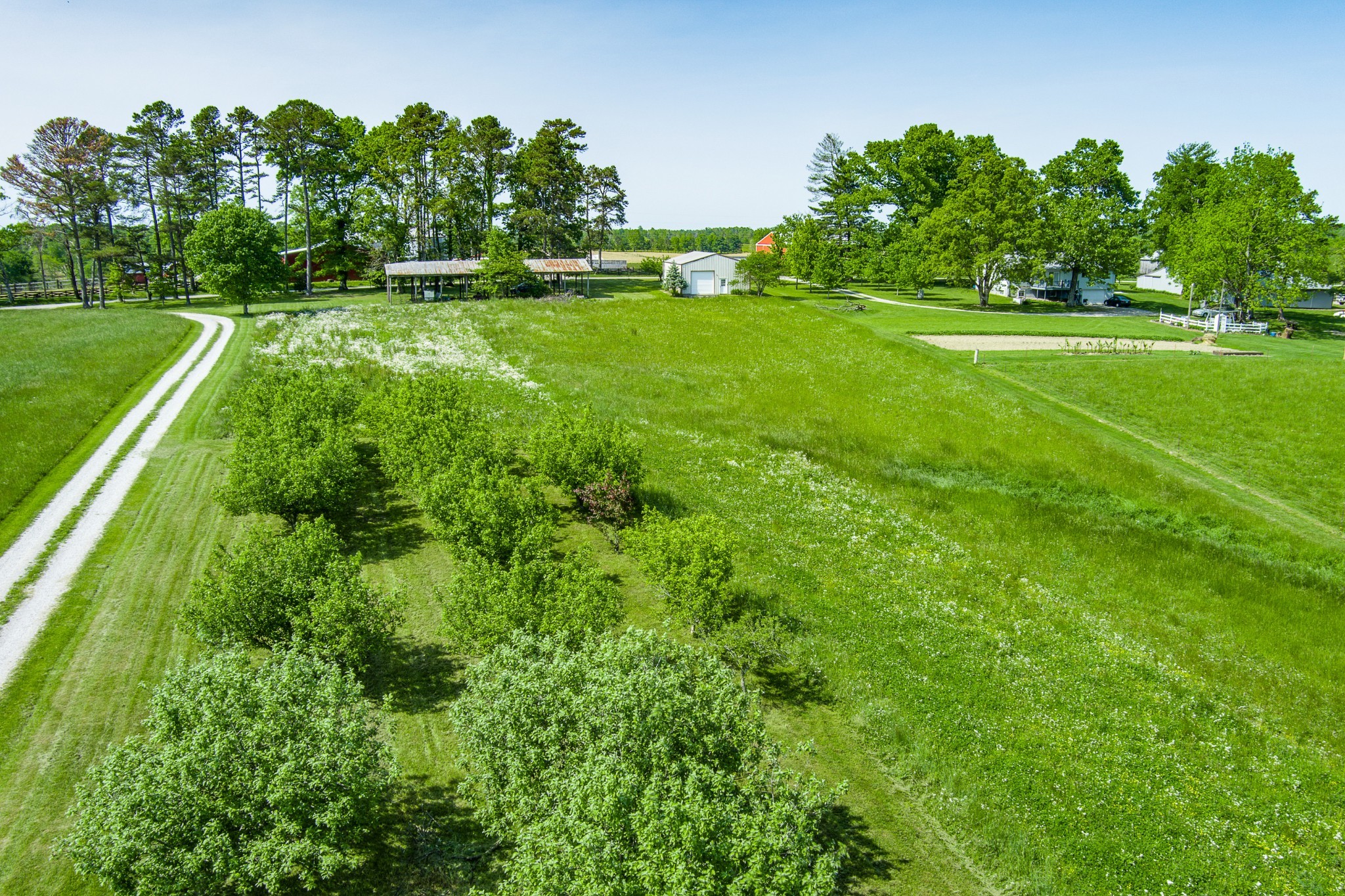 1689 Meister Hills Road Deer Lodge, TN 37726 - Photo 4 of 19 a view of a golf course with a lake