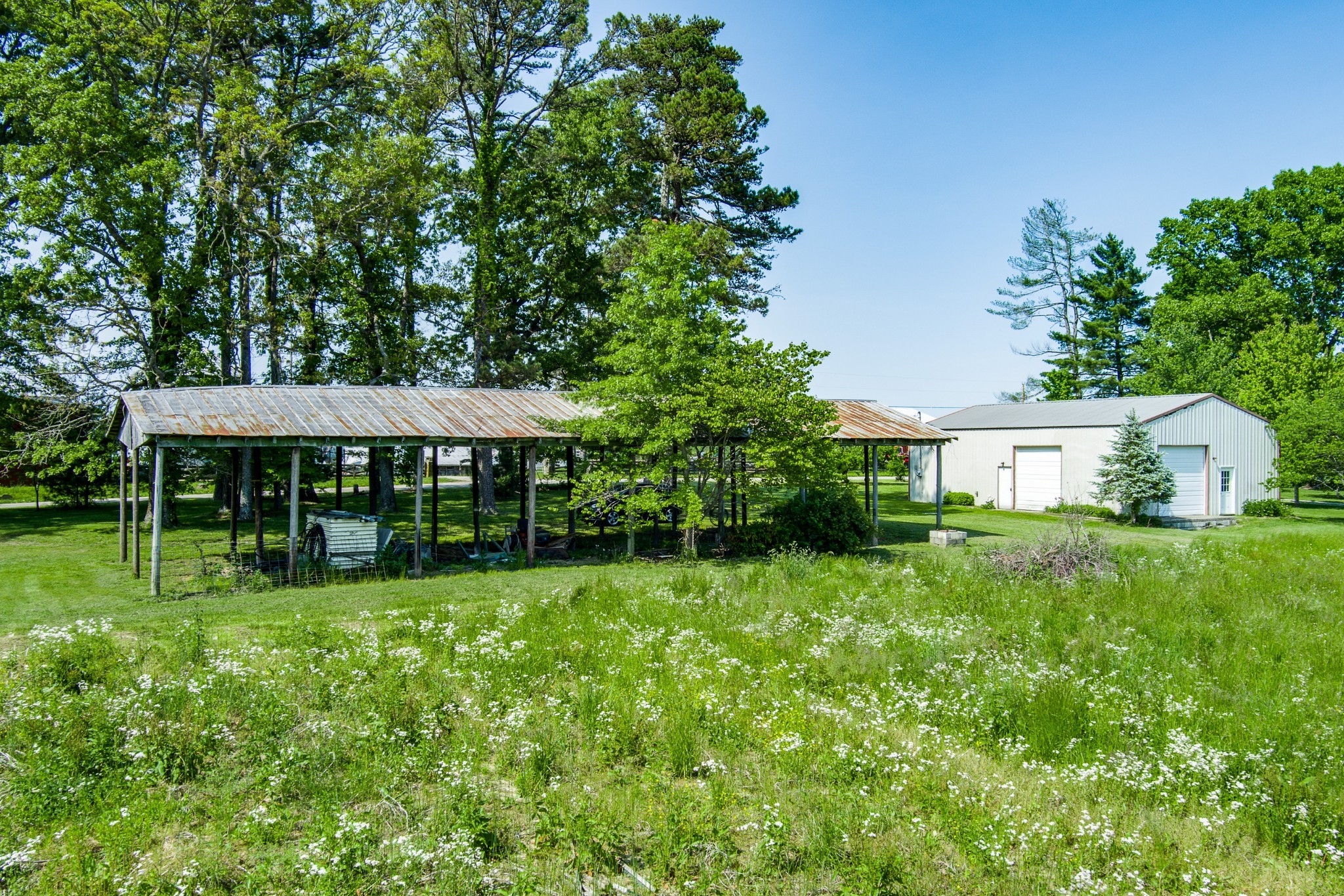 1689 Meister Hills Road Deer Lodge, TN 37726 - Photo 5 of 19 a view of an house with backyard space and garden