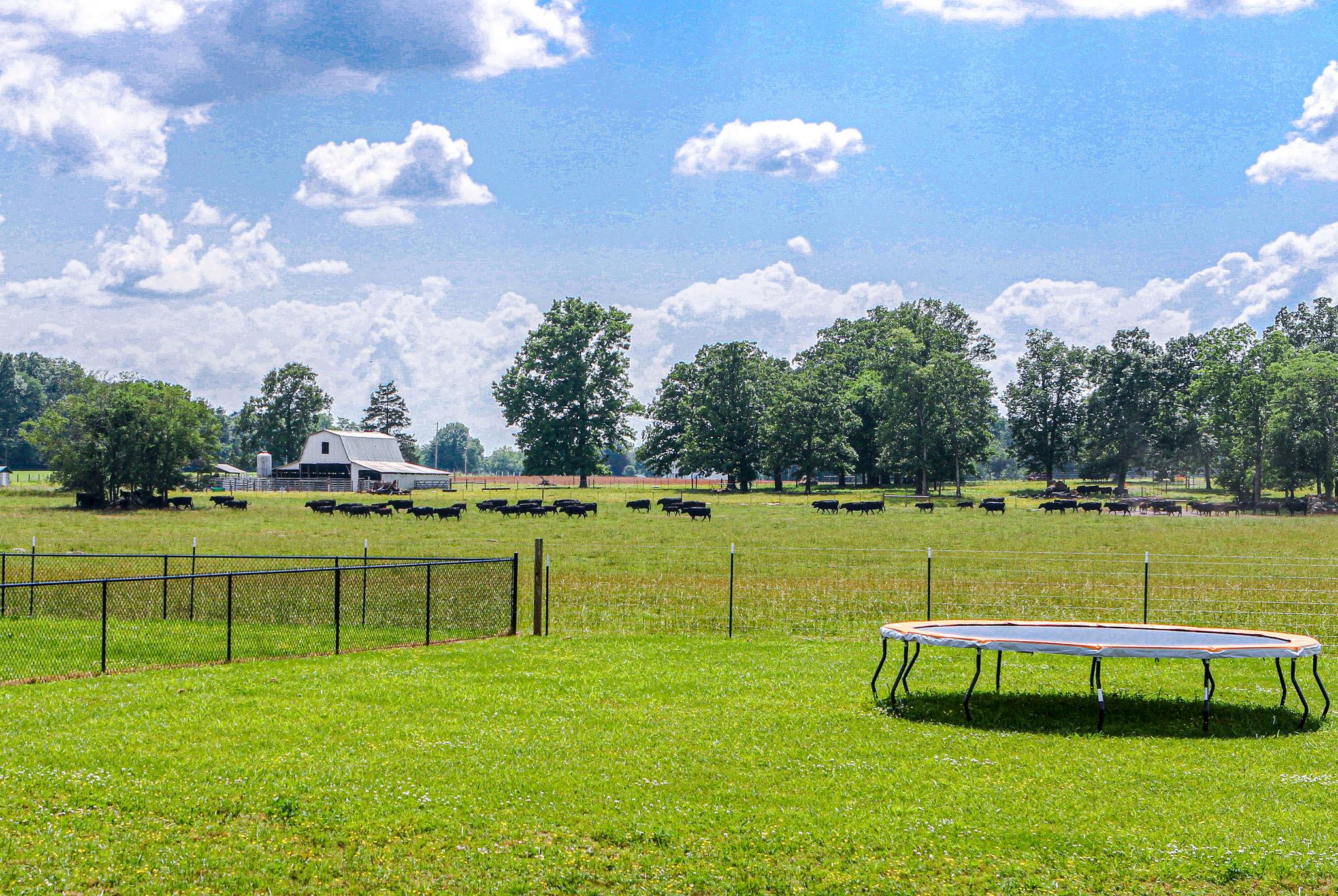 3269 Midland Road Bell Buckle, TN 37020 - Photo 29 of 30 a view of a golf course with a lake