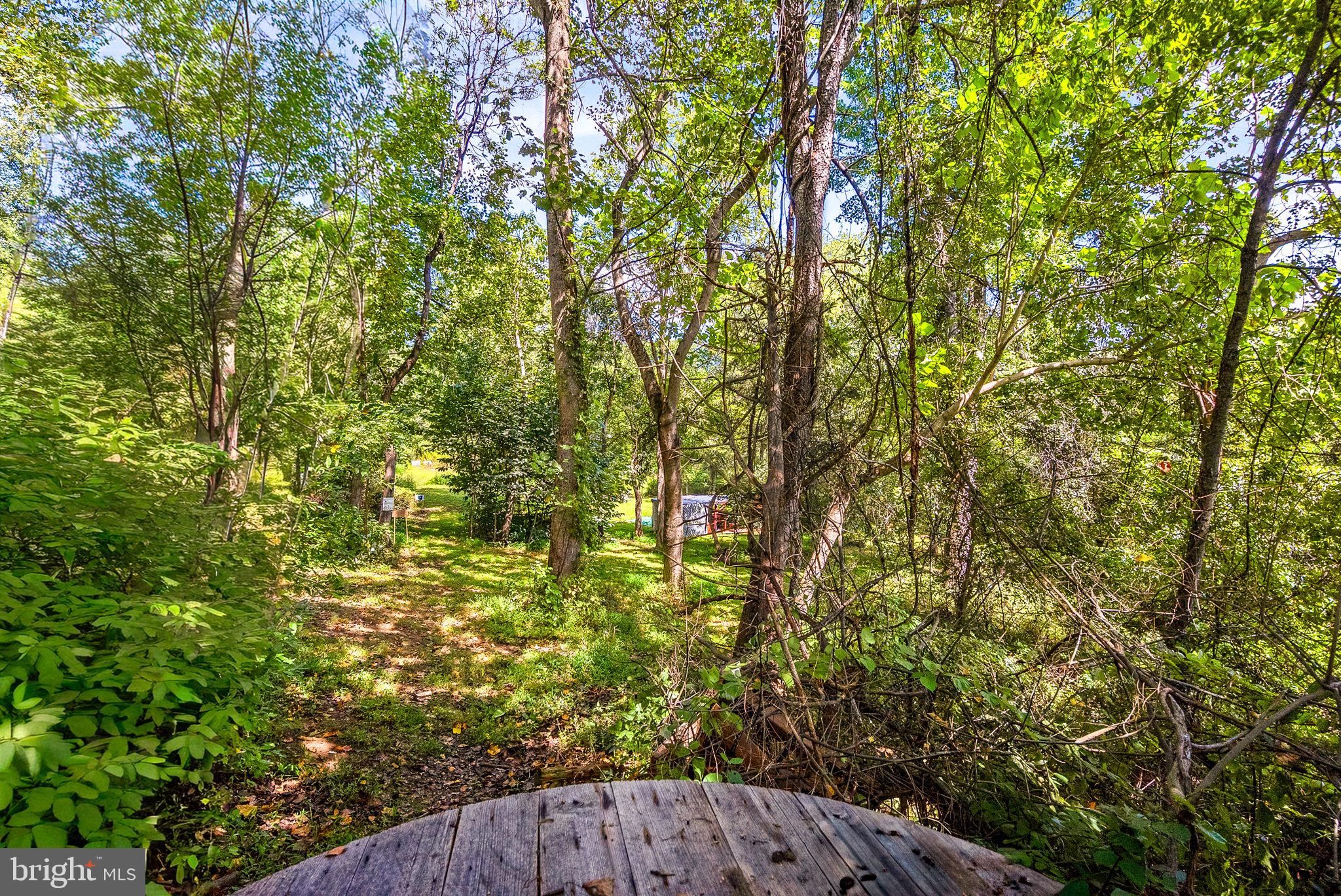 39857 Thomas Mill Road Leesburg, VA 20175 - Photo 32 of 55