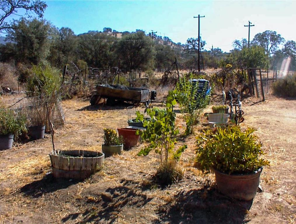 37033 Dunlap Road Squaw Valley, CA 93675 - Photo 18 of 32 Gallery Image 18
