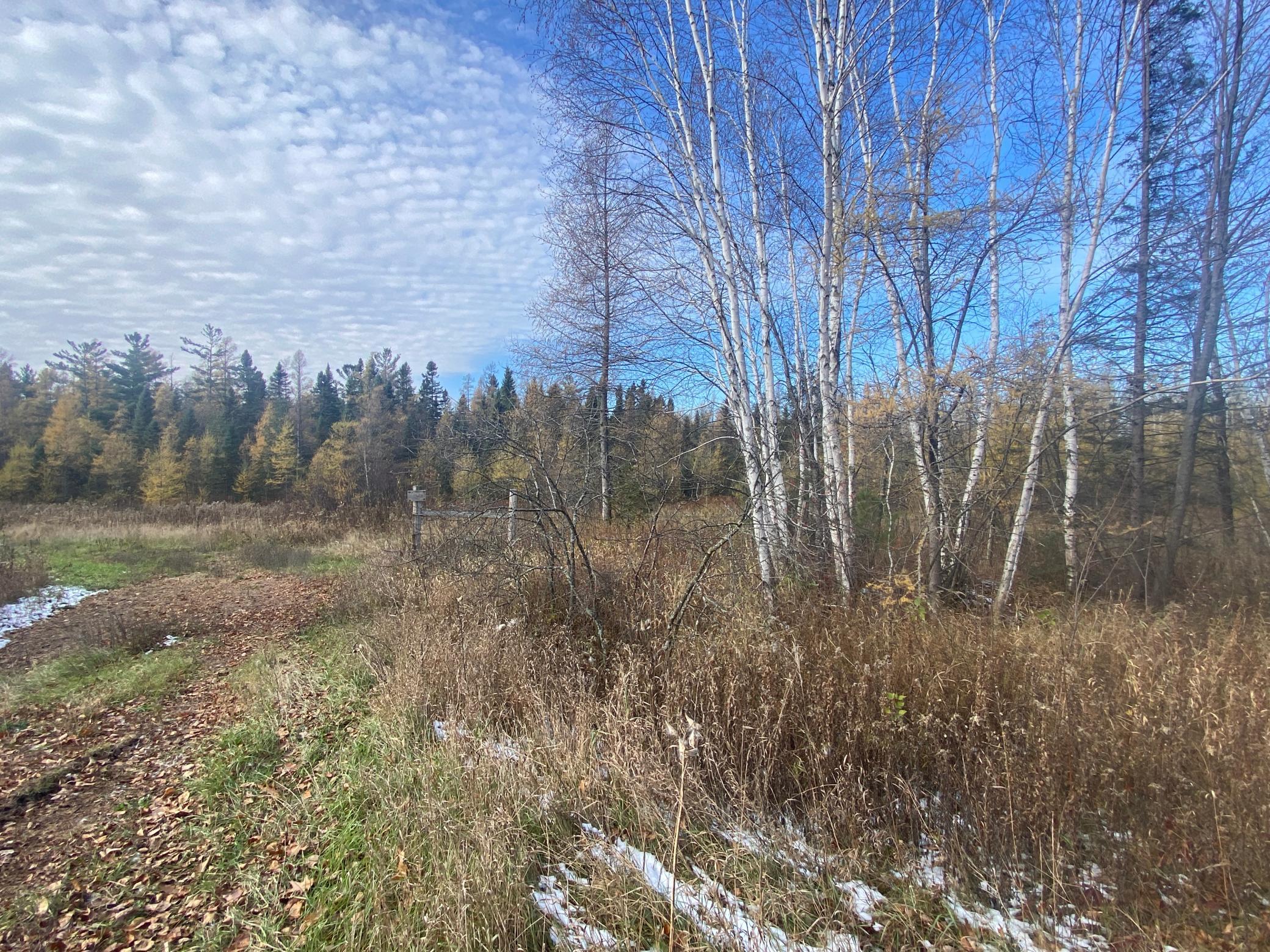 Xxx Norway Spruce Road Finlayson, MN 55735 - Photo 1 of 1 Gallery Image 1