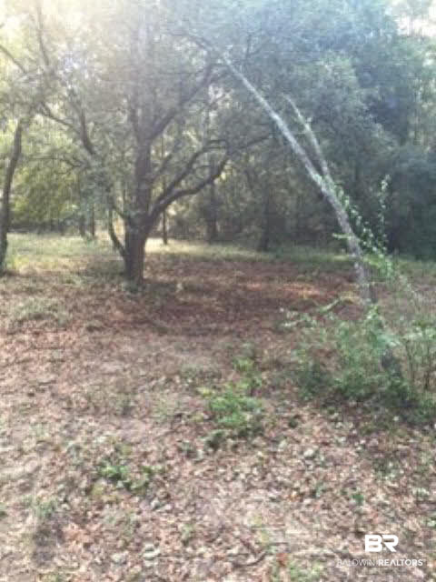 0 Wayburn Road Seminole, AL 36574 - Photo 6 of 8