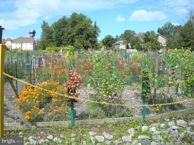 a view of a house with backyard and garden