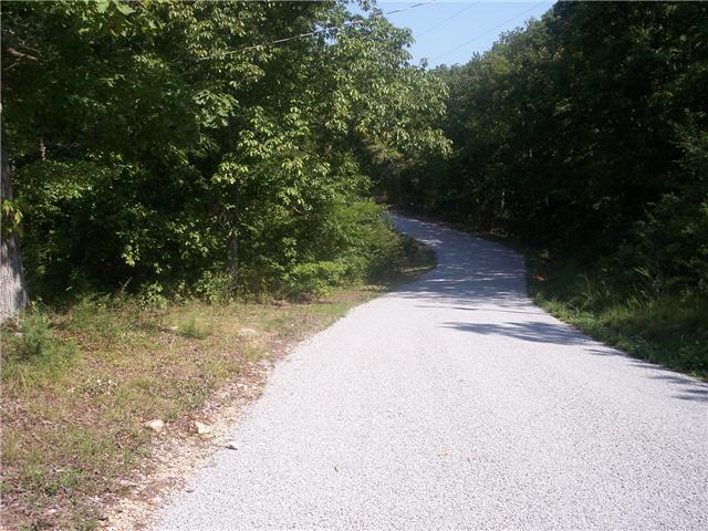 0 Riverview Road Camden, TN 38320 - Photo 11 of 11 Gallery Image 11