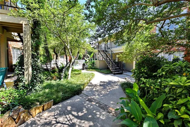 a view of a pathway with a tree
