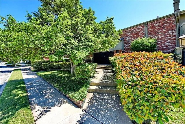a view of a backyard with potted plants