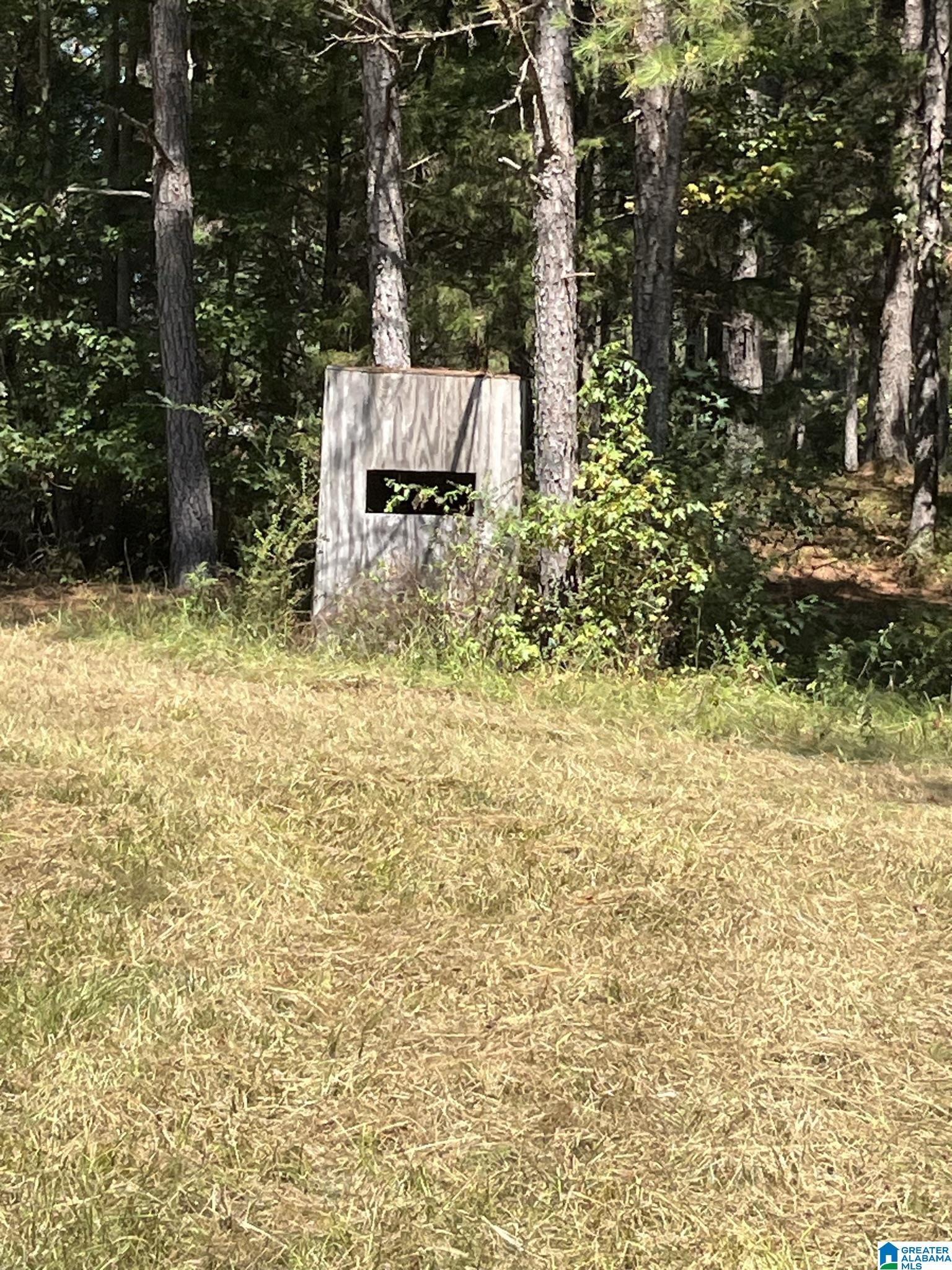 3653 Tabernacle Road Ethelsville, AL 35461 - Photo 7 of 9