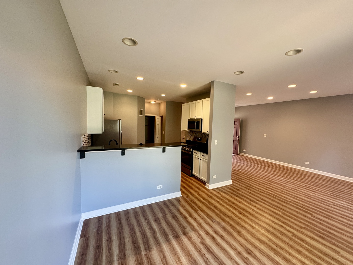 423 Acushnet Street, Unit 423 Elgin, IL 60124 - Photo 4 of 20