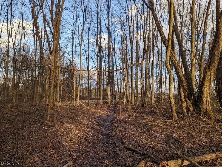 8580 Cox Road Windsor, OH 44099 - Photo 28 of 29