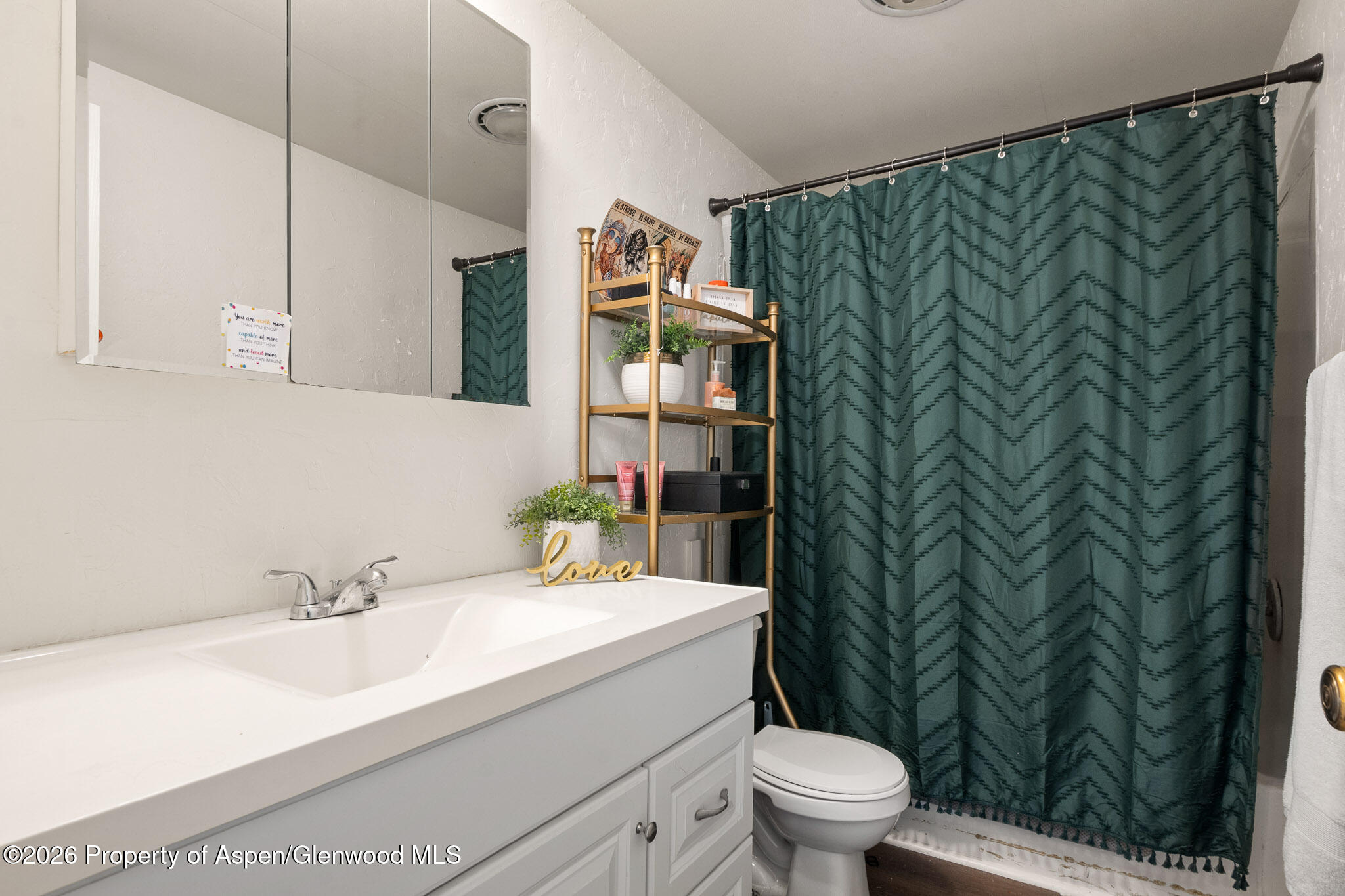 301 County Road 334A Rifle, CO 81650 - Photo 7 of 26 a bathroom with a sink a toilet and a mirror