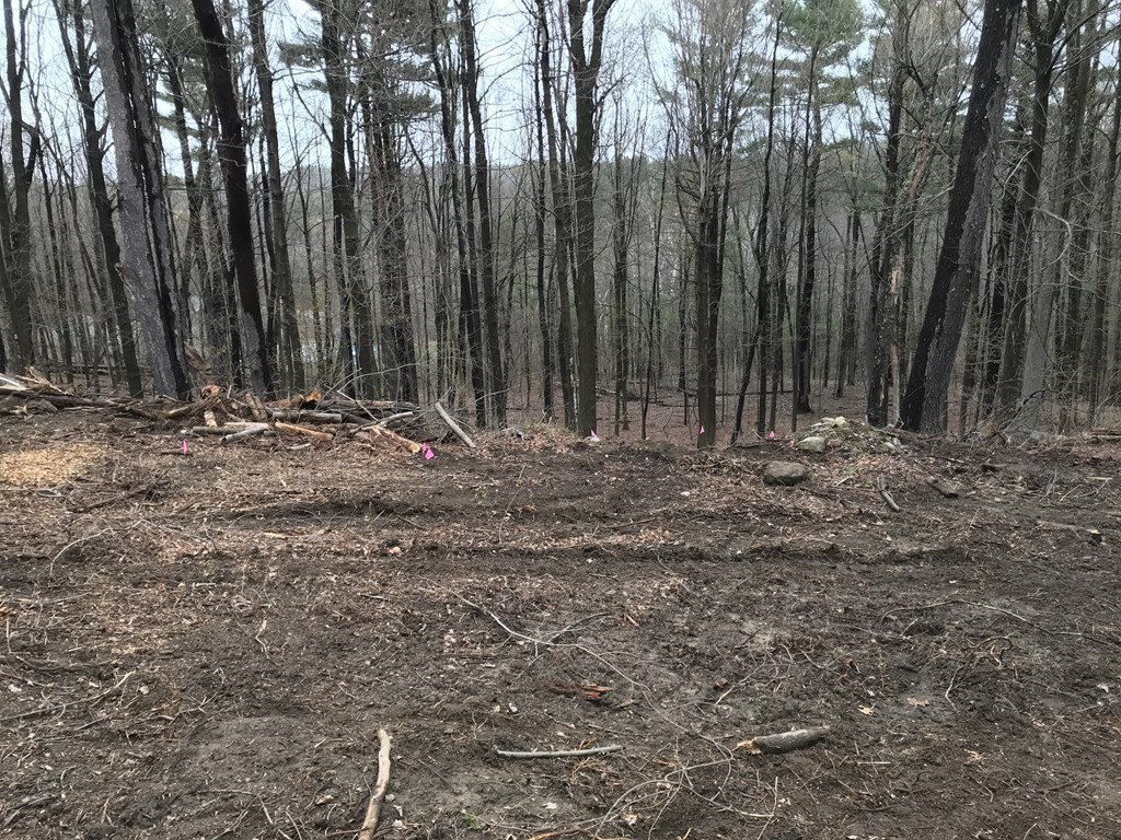 255 Sunny Hill Road Lunenburg, MA 01462 - Photo 7 of 24 Gallery Image 7