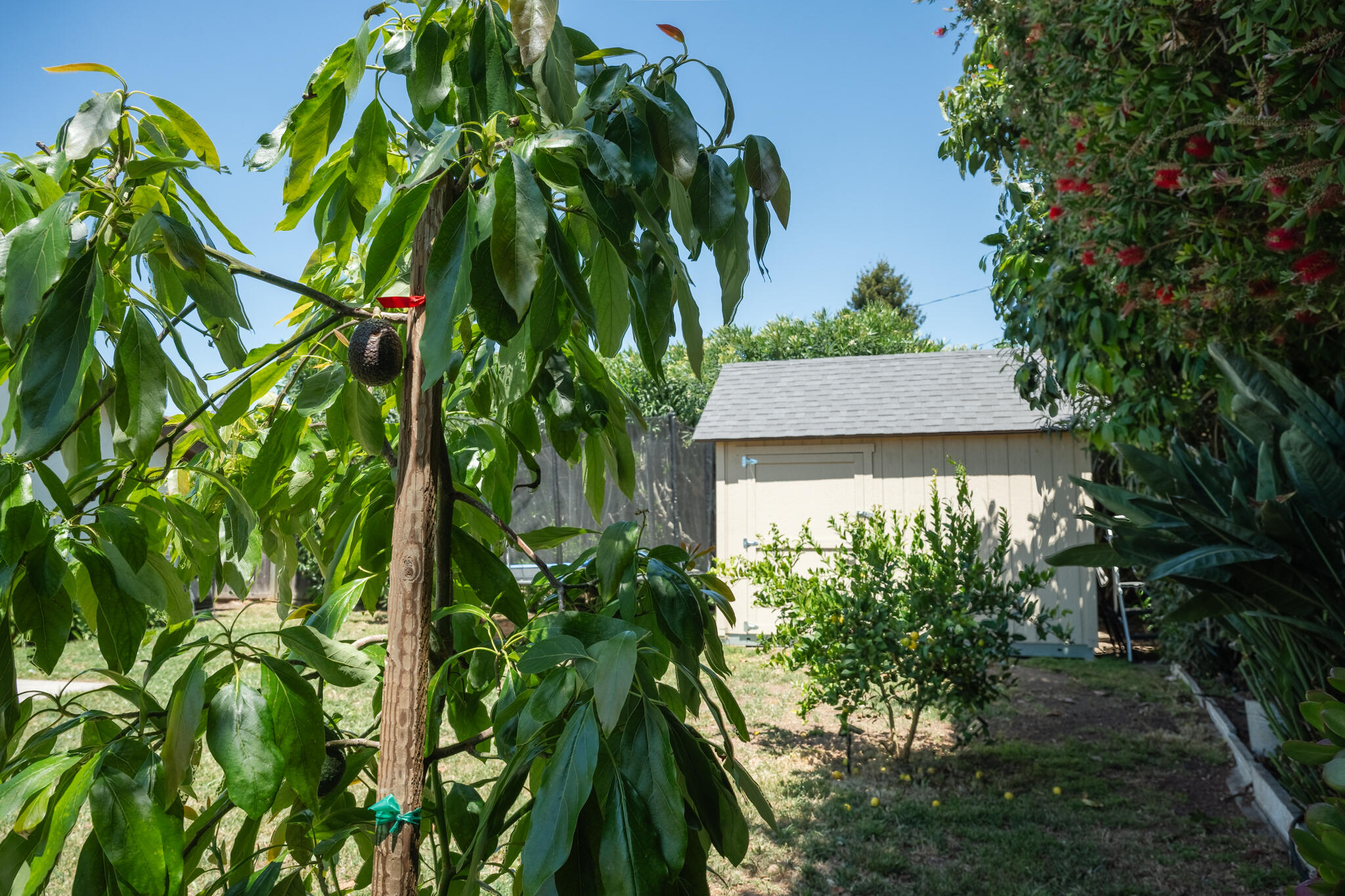 676 San Ramon Drive Santa Barbara, CA 93111 - Photo 7 of 9 a view of a house with a tree