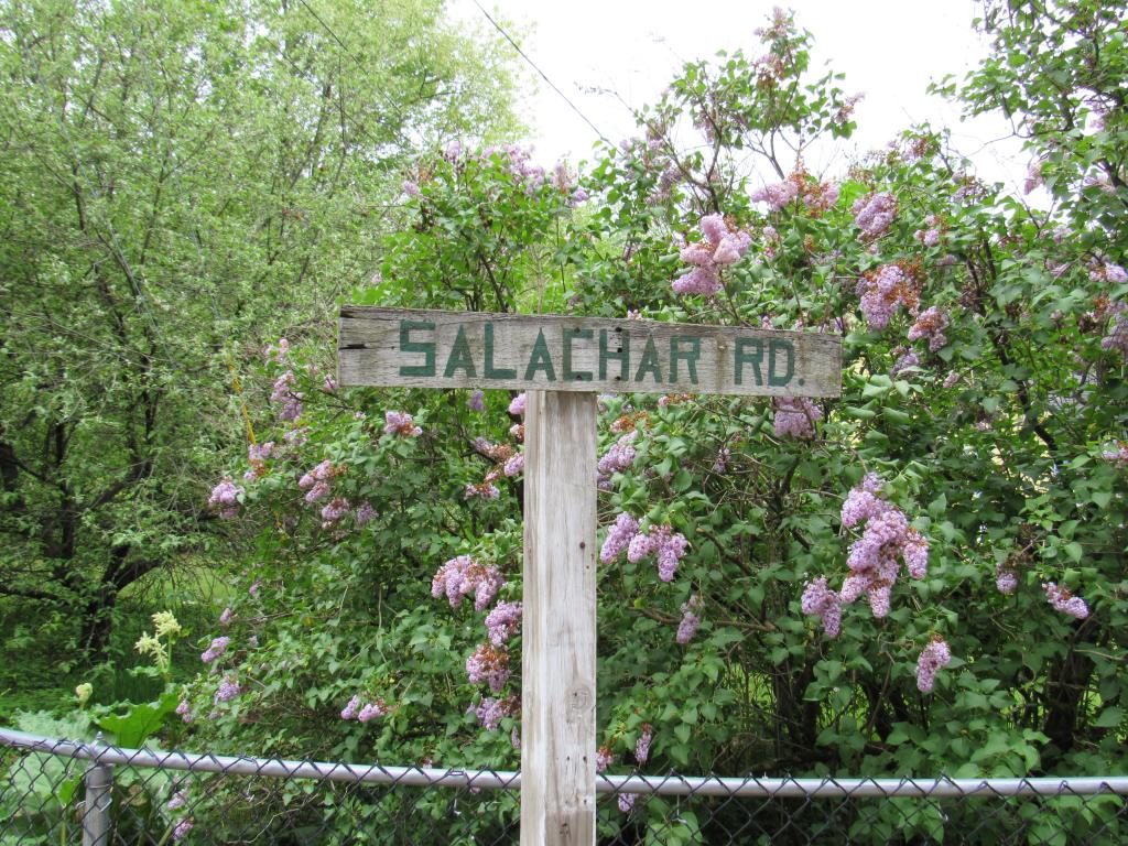 3 Salachar Road Hopkinton, NH 03229 - Photo 2 of 30