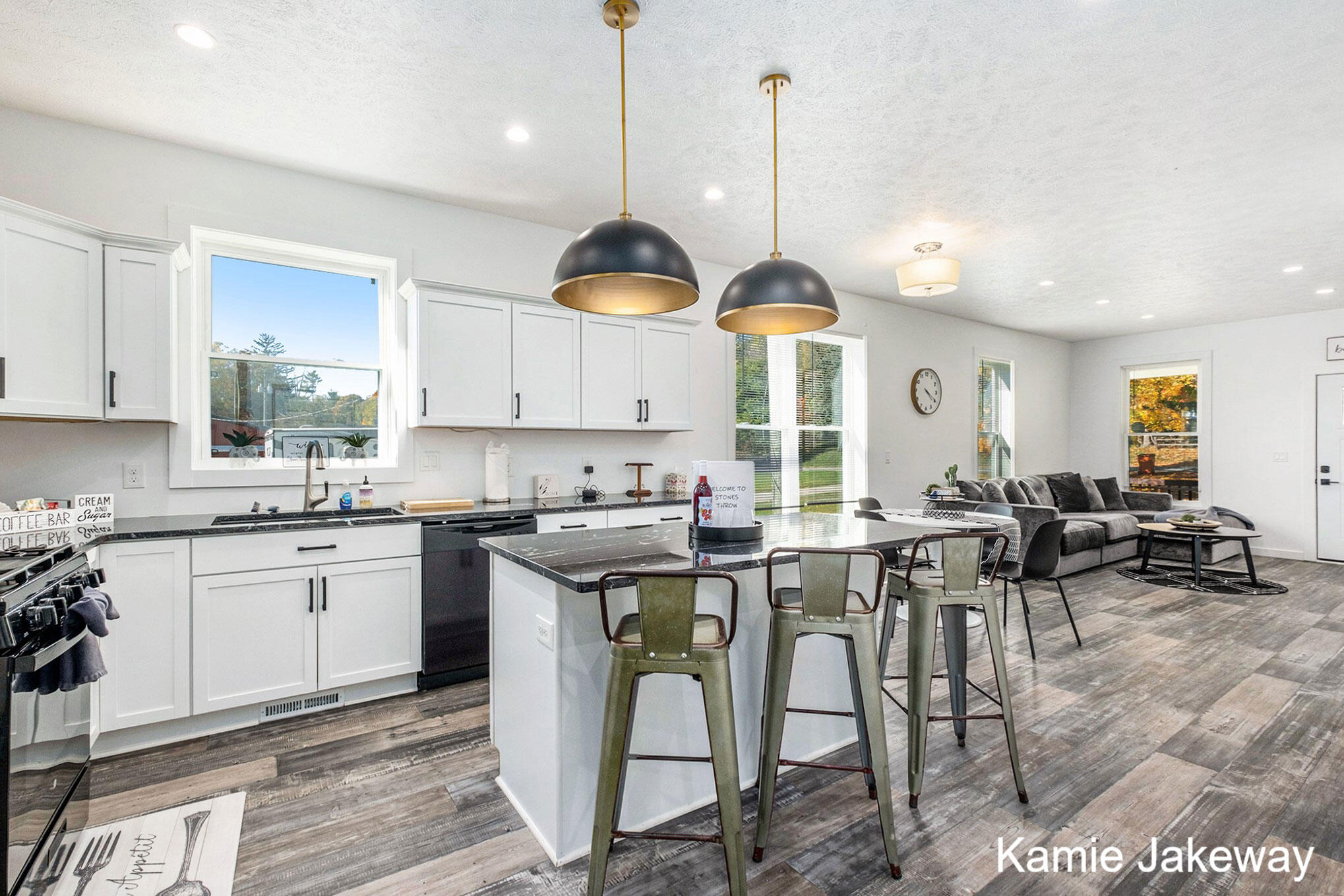 11884 Old Belding Road Northeast Belding, MI 48809 - Photo 7 of 42 kitchen