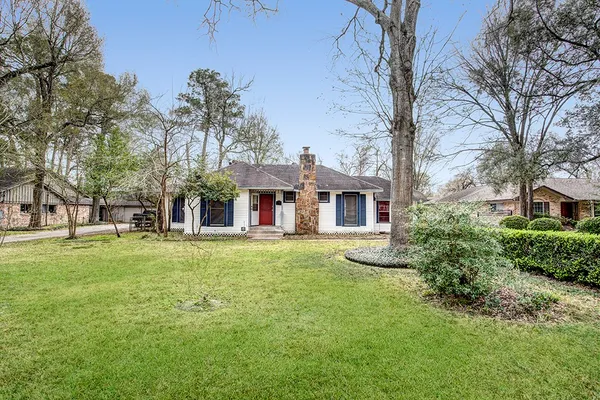 a view of a big yard with plants and large trees