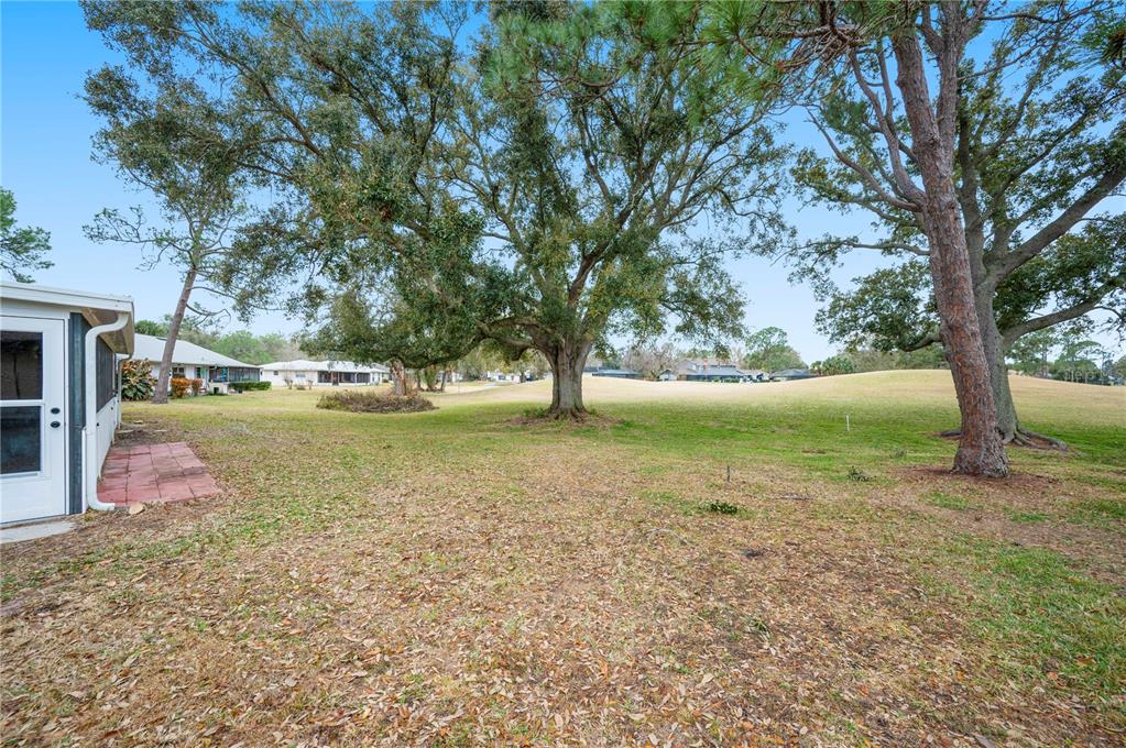 241 Greenfield Road Winter Haven, FL 33884 - Photo 28 of 43 a view of outdoor space with garden and trees