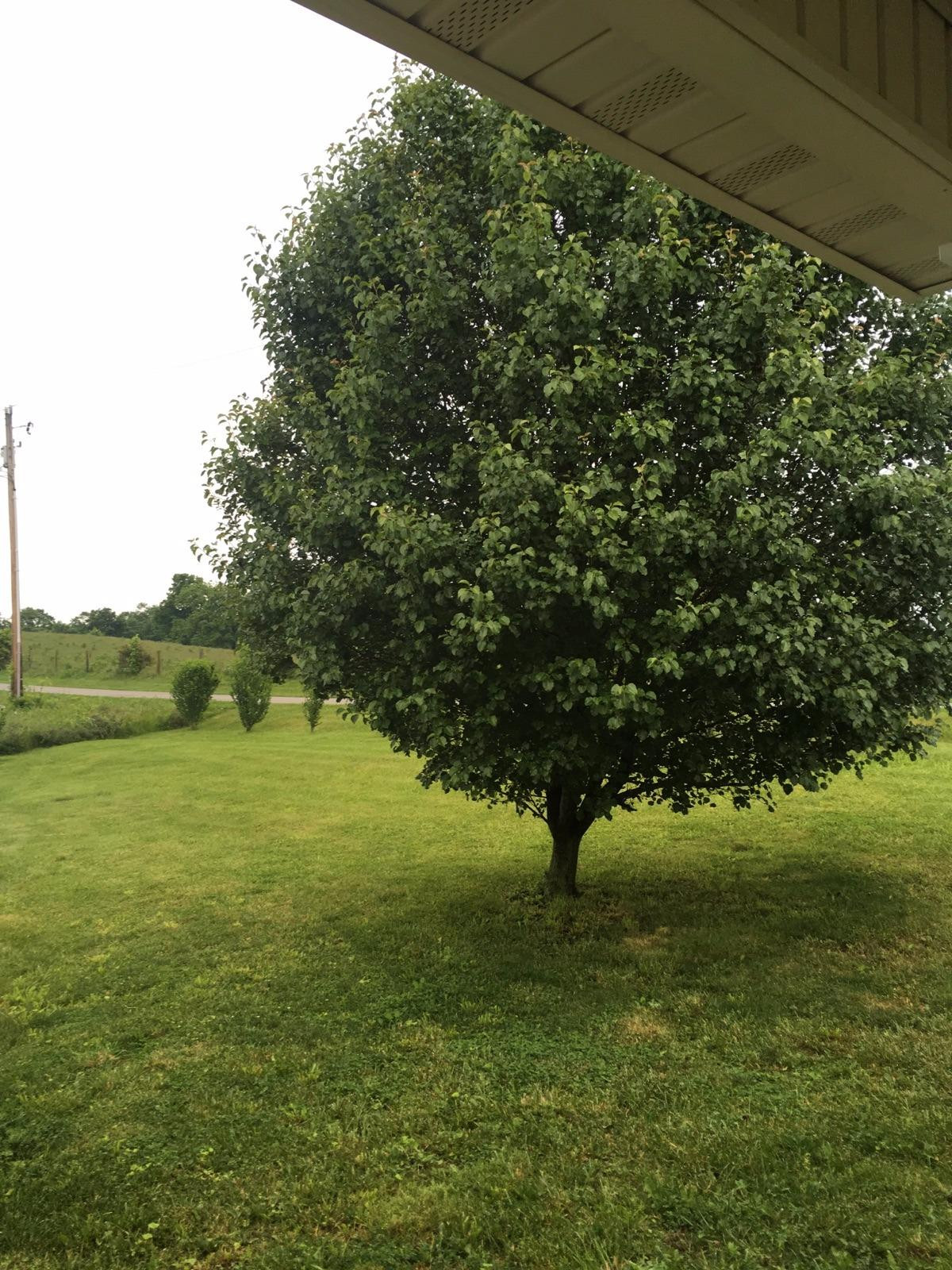 4092 FDR Road Mount Sterling, KY 40353 - Photo 18 of 27 Photo 18