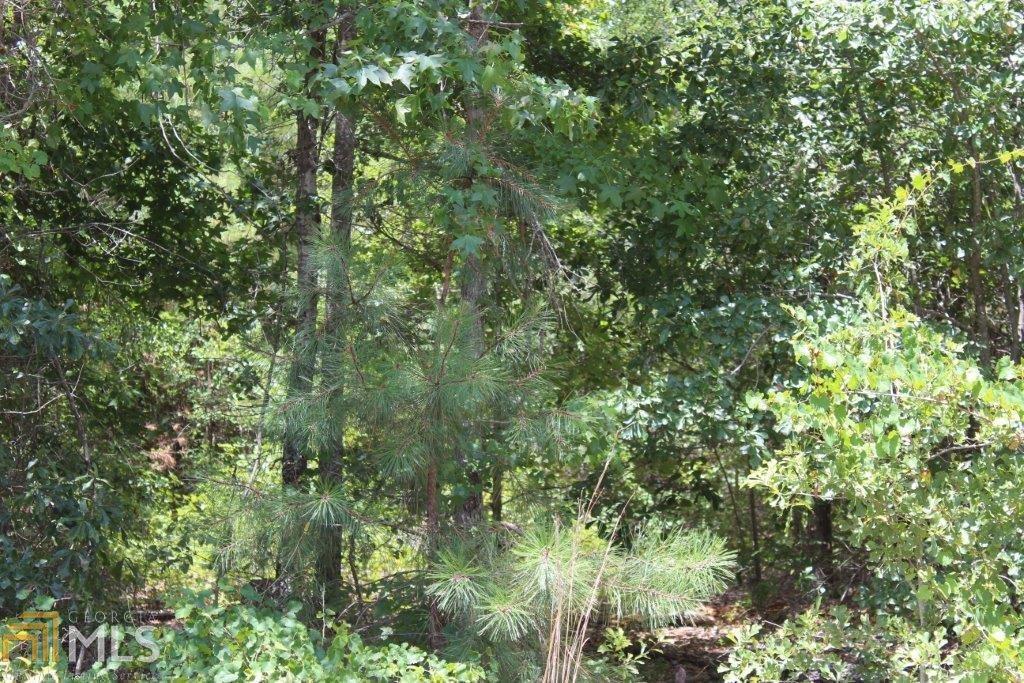 0 Mt Moriah Road Tennille, GA 31089 - Photo 1 of 1 Gallery Image 1