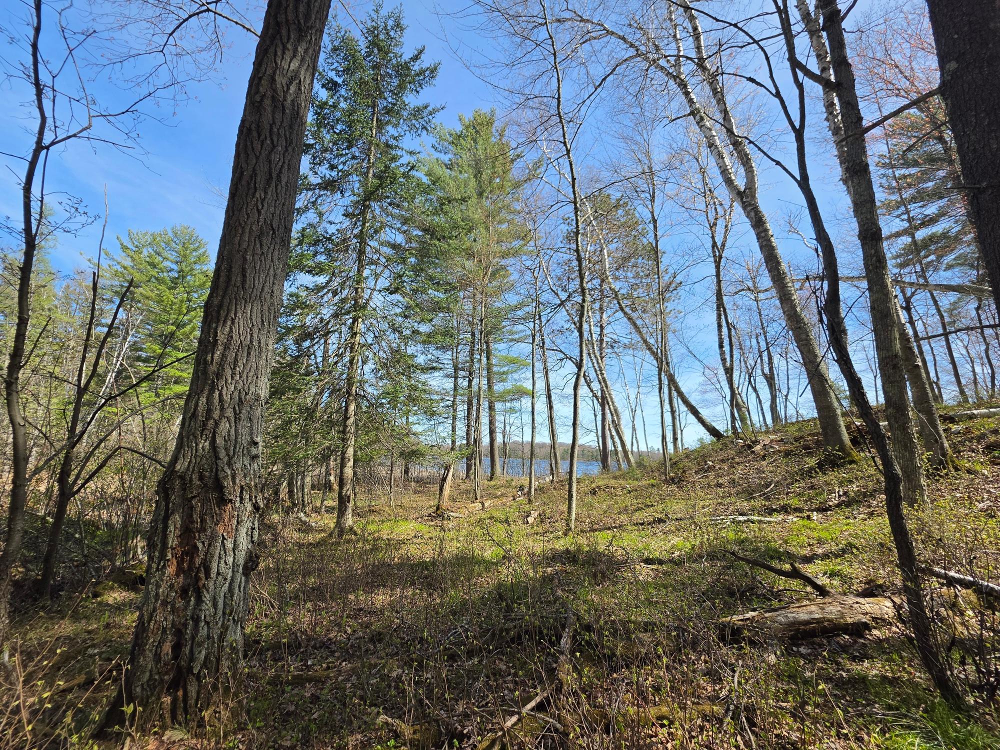 Lot 5 Little Bearskin Road Harshaw, WI 54529 - Photo 19 of 27