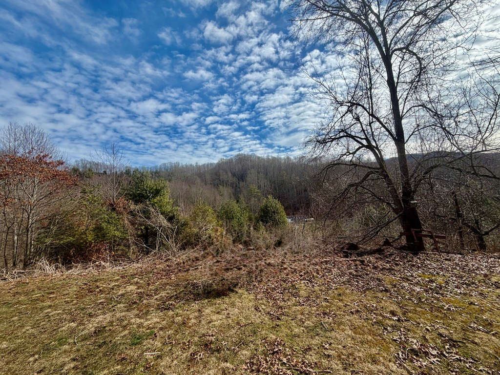 682 Long Branch Road Topton, NC 28781 - Photo 13 of 28 Gallery Image 13