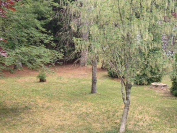 7 Crooked River Road Wareham, MA 02571 - Photo 19 of 20 Gallery Image 19