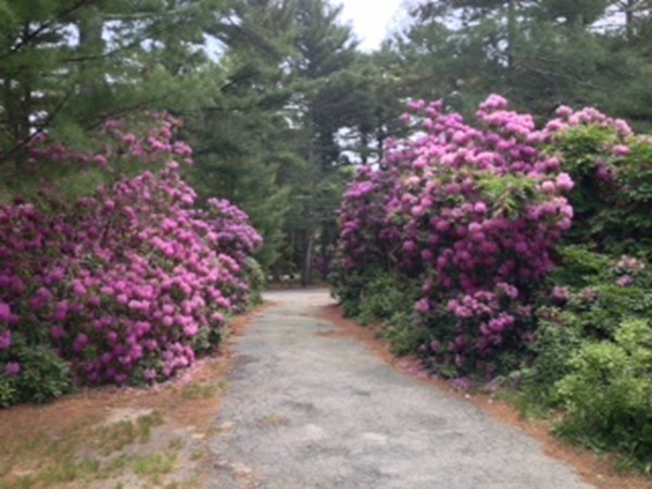 7 Crooked River Road Wareham, MA 02571 - Photo 20 of 20 Gallery Image 20