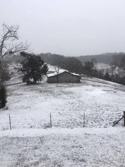 2907 Beech Log Road Watertown, TN 37184 - Photo 19 of 28
