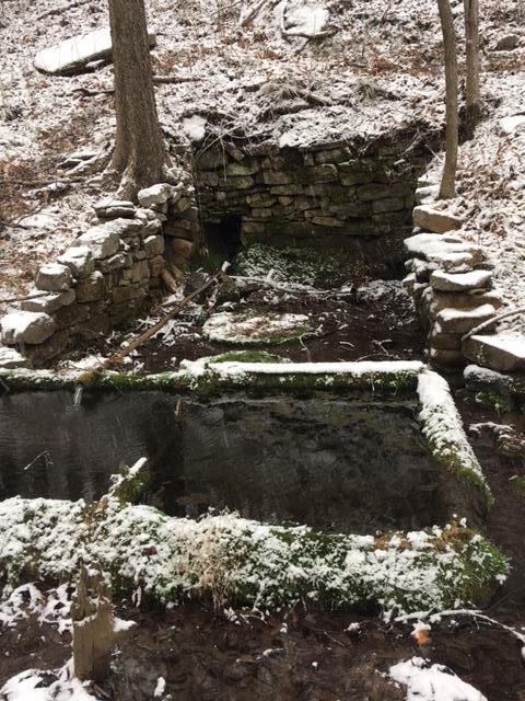 2907 Beech Log Road Watertown, TN 37184 - Photo 21 of 28 Spring on property